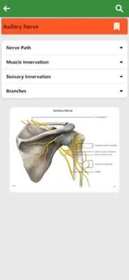 Orthopedic Anatomy android App screenshot 0