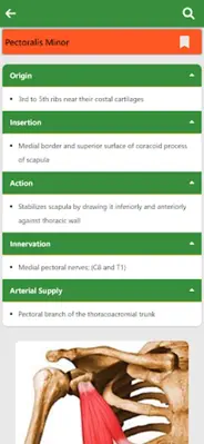 Orthopedic Anatomy android App screenshot 1