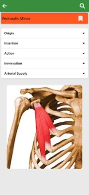 Orthopedic Anatomy android App screenshot 2