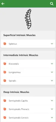 Orthopedic Anatomy android App screenshot 4