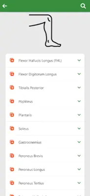 Orthopedic Anatomy android App screenshot 5