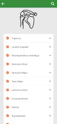 Orthopedic Anatomy android App screenshot 6