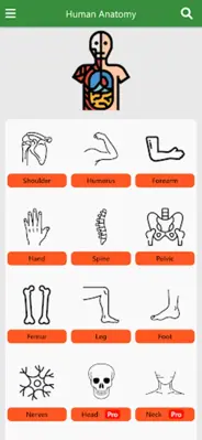 Orthopedic Anatomy android App screenshot 7